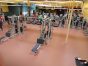Cardio equipment, strength training machines and free weights.